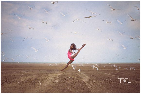 fly with the birds