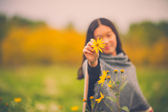 Fall flowers 2
